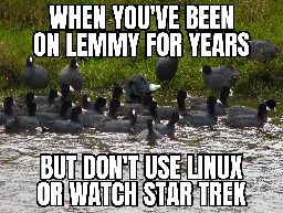 Embed prevented alt text