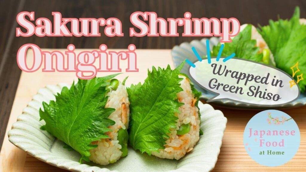 [Spring Feast] 🦐Sakura Shrimp Onigiri🍙