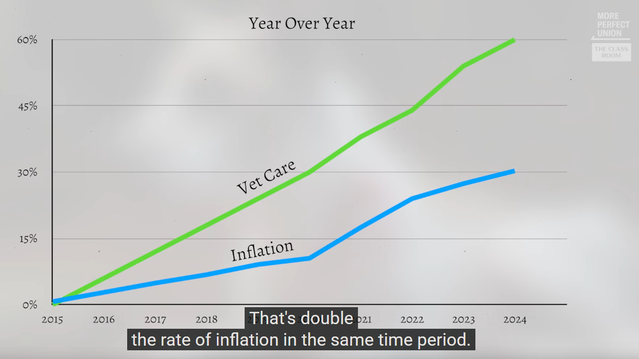 graph showing cost of vets climbing much faster than inflation