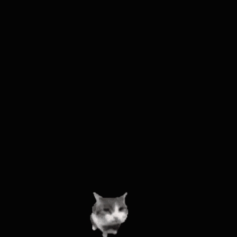 An animated GIF where the viewer and a cat throw a brick back and forth.