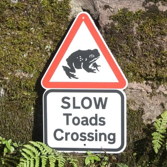 Slow Toad Crossing sign