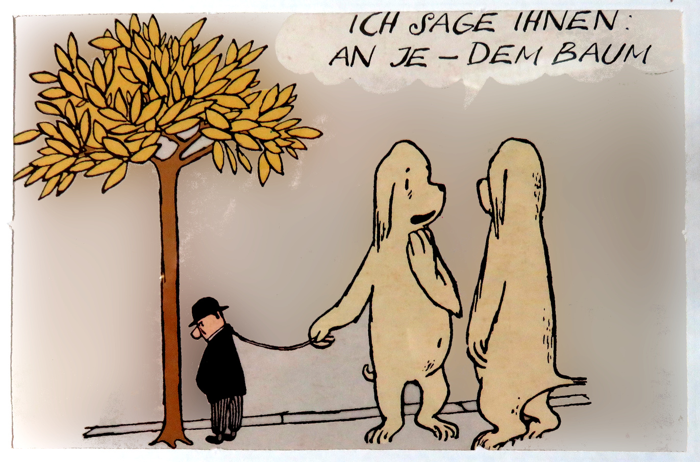 an jedem baum