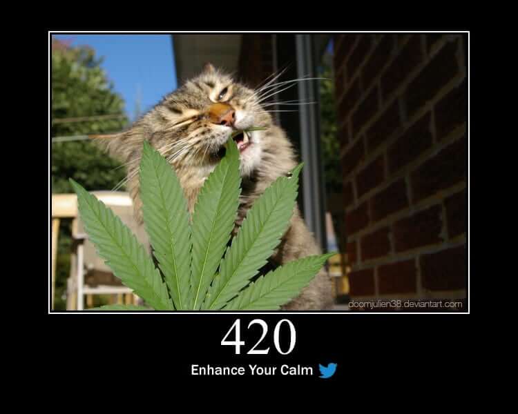 HTTP.cat status 420