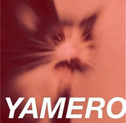 Yamero cat