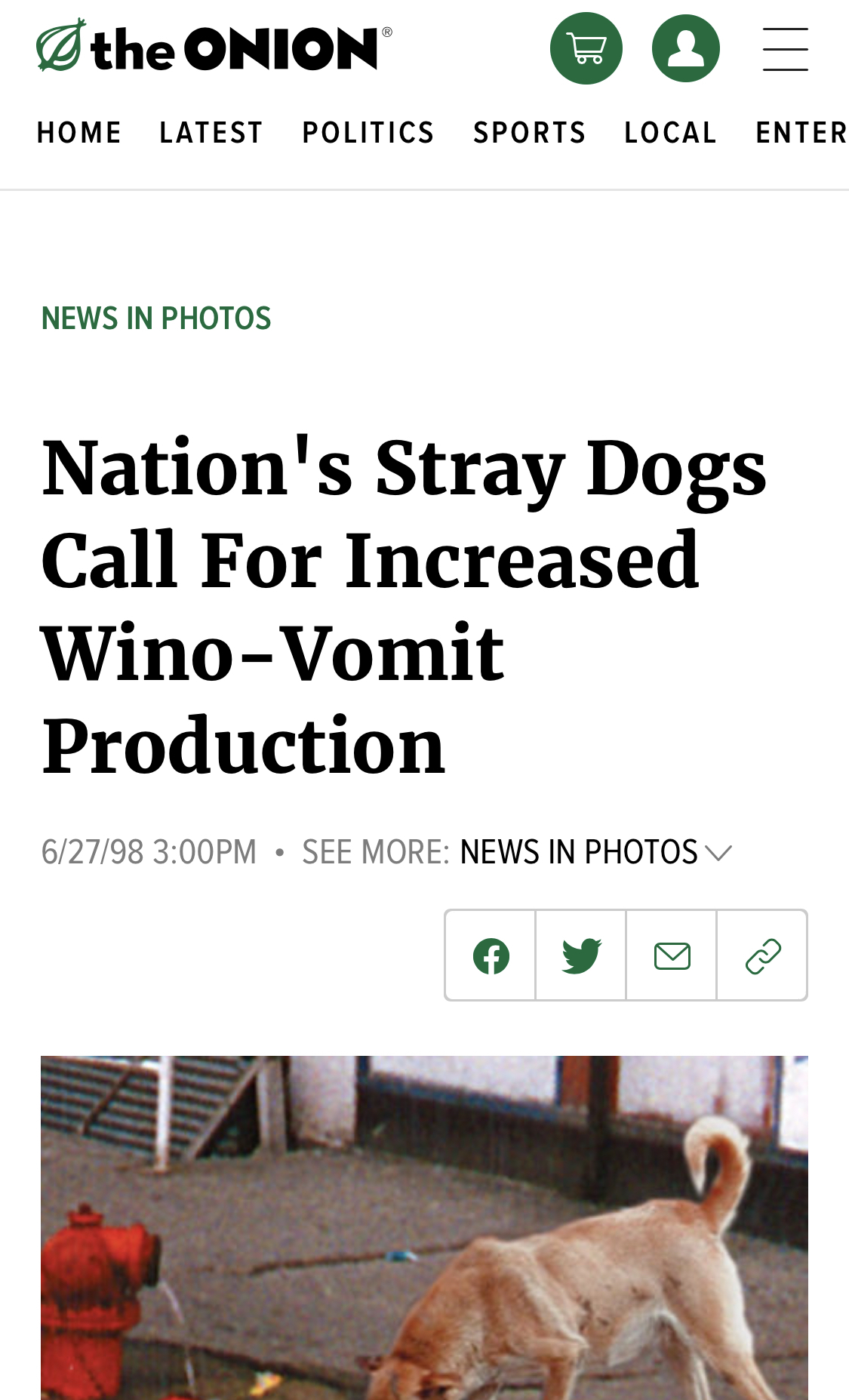 Nation’s Stray Dogs Call For Increased Wino-Vomit Production