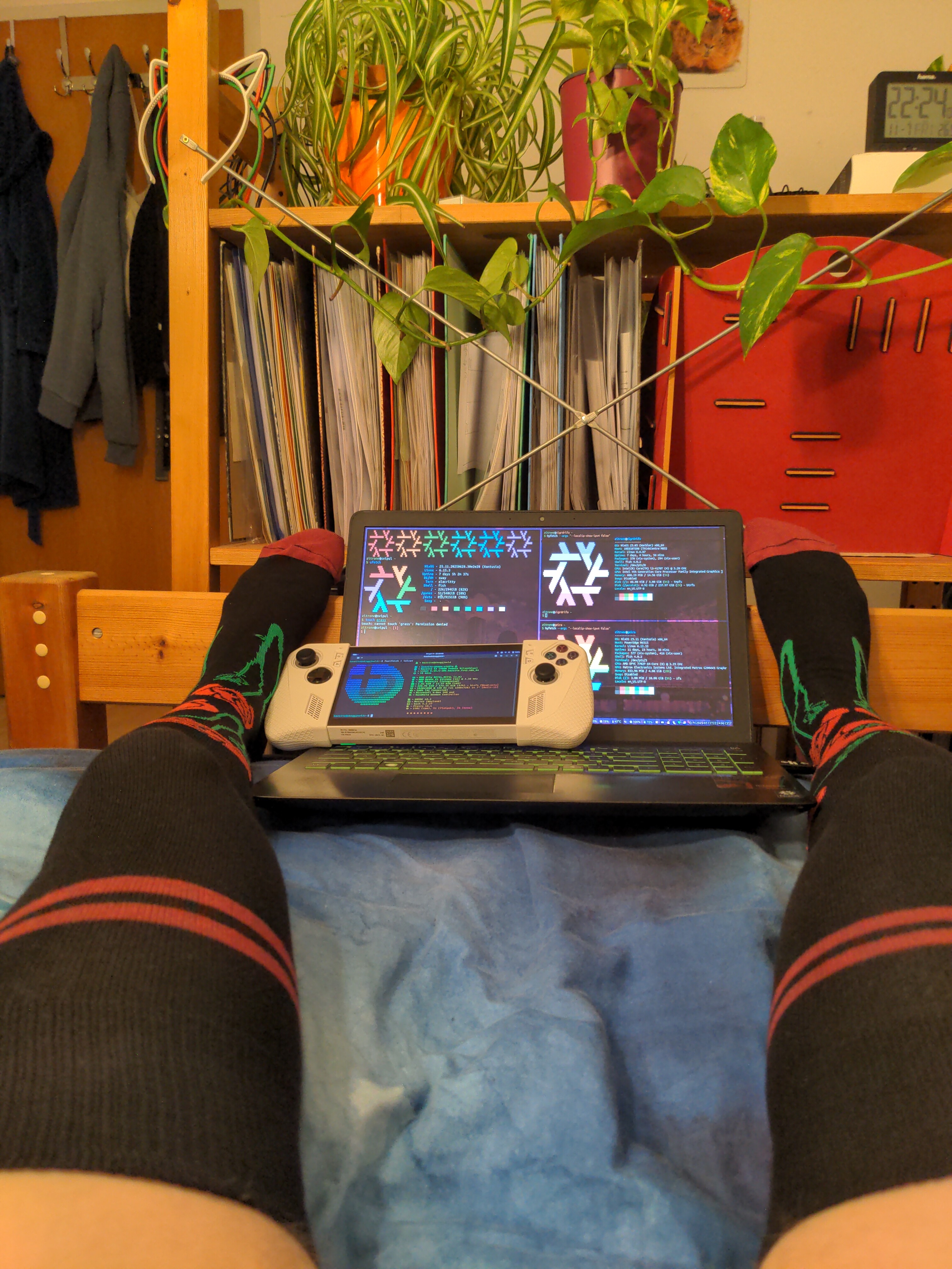 Photo of my legs with thigh high black socks with poppy flowers at the bottom. A small bit of skin is visible over the socks. At the end is a laptop with lots of nixos logos on the screen (3 hyfetch outputs for different machines (2 over ssh)). On the laptop is an asus rog ally (steam deck but less cool and comes with windows by default) with bazzite fastfetch output piped though lolcat. Behind that is a shelf with some folders and potted plants.