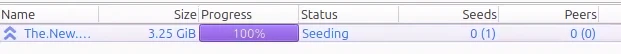 "me being the only seed on this torrent with no peers"