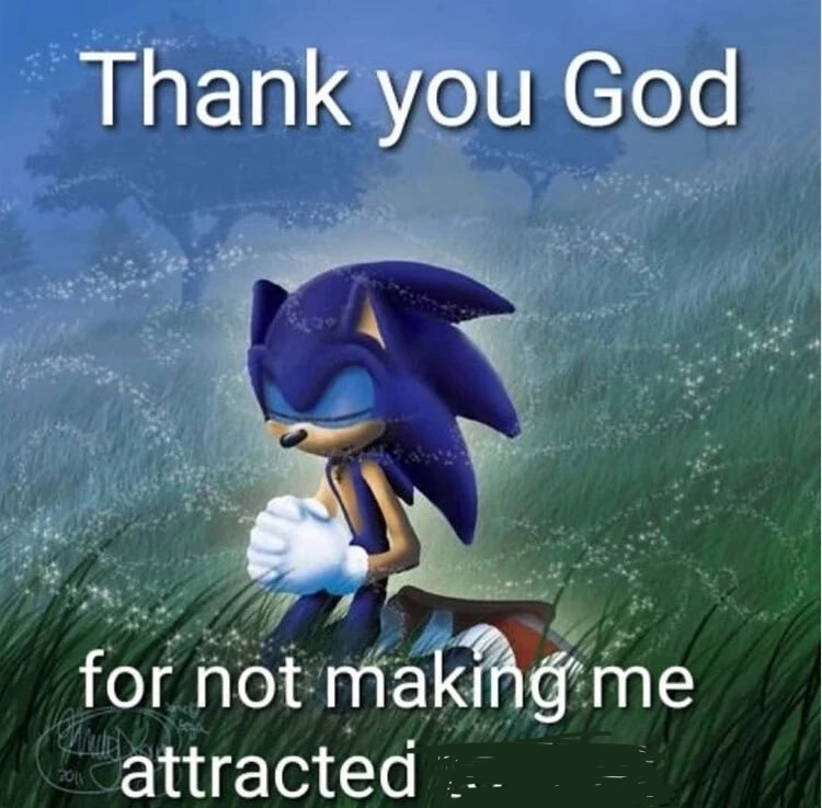A drawing of Sonic the Hedgehog praying in a grassy plains, with text saying "Thank you God for not making me attracted" followed by text that has been scribbled out