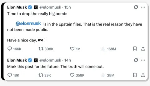 Elon's now deleted tweet about DJT being epstein files except Trump's names replace with himself.