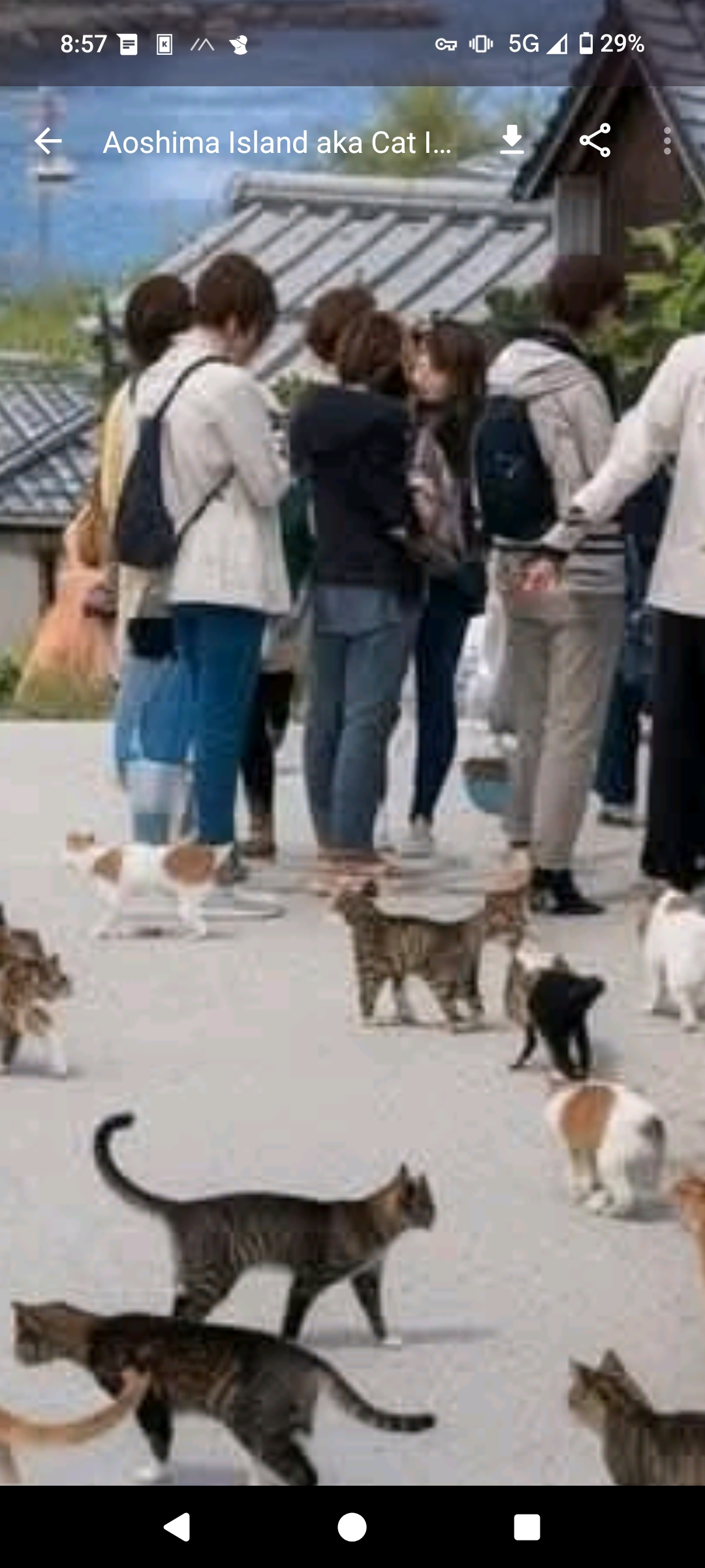 3657