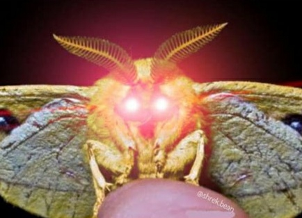20250622_191221