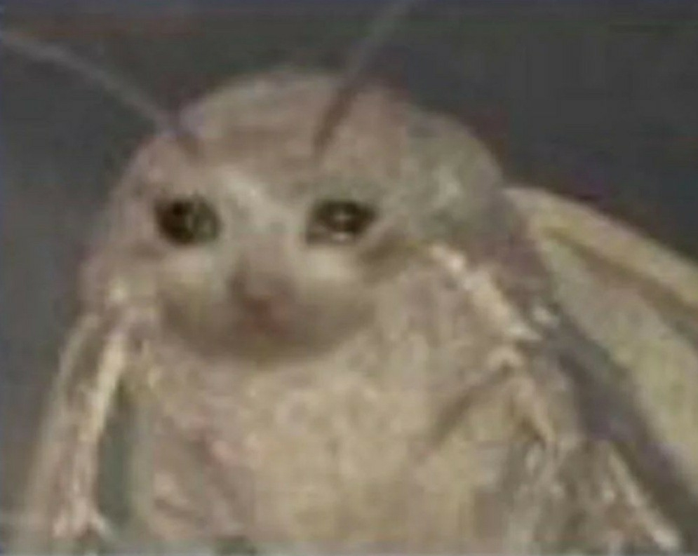 20250621_011020