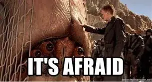 Obligatory