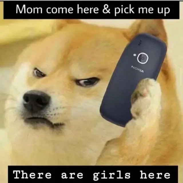 Old Doge meme. A Shiba Inu is pulling a frowning face holding an old Nokia cellphone up to his ear. Caption reads:"Mom come here and pick me up. There are girls here"