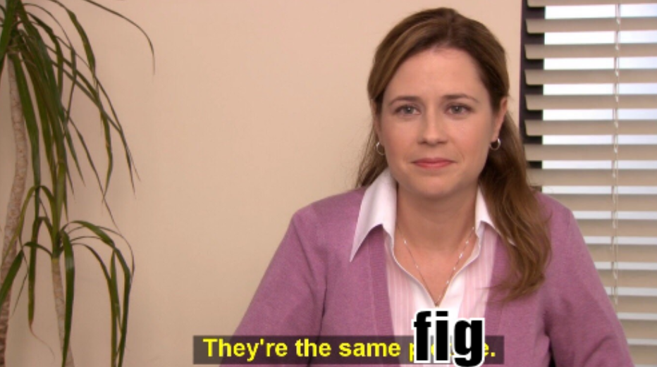 second panel of standard "same picture" office meme, but with "fig" in lowercase impact outline covering the word "picture" in the subtitle