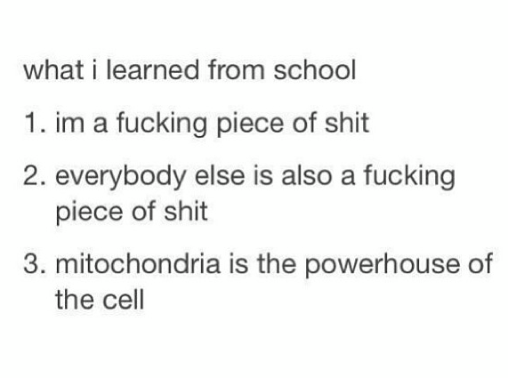 screenshot of text: "what i learned from school 1. im a fucking piece of shit 2. everybody else is also a fucking piece of shit 3. mitochondria is the powerhouse of the cell"