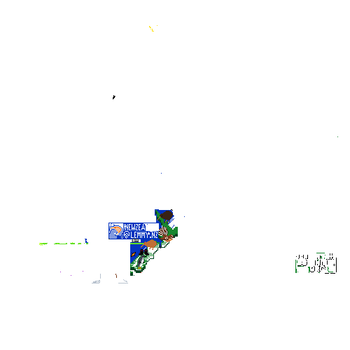 A map of just the Lemmy.nz users and the pixels they placed