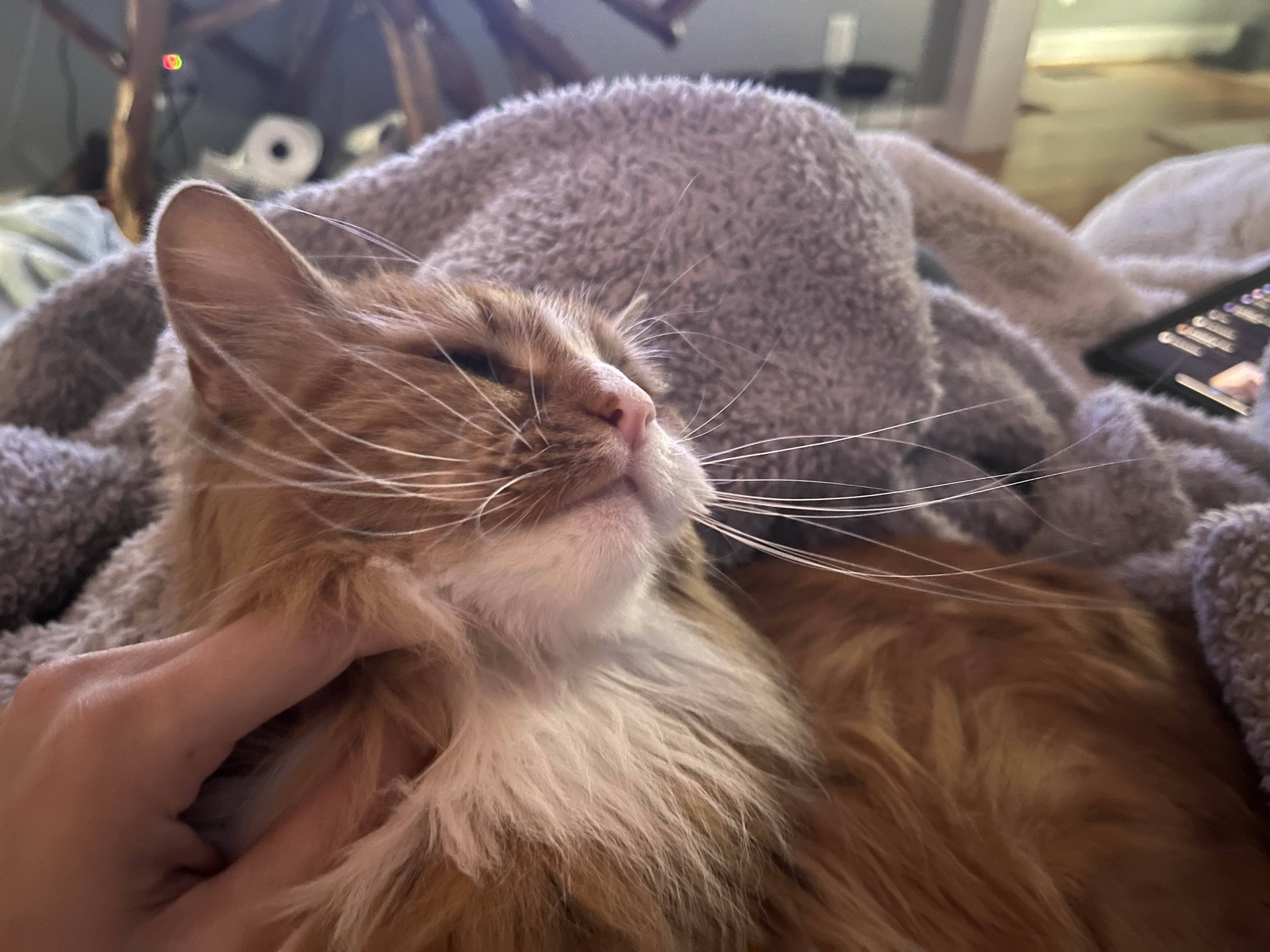 Tweek’s long white whiskers