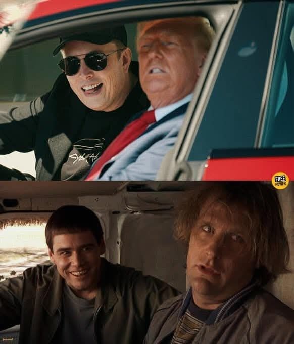 Dumb and dumber 