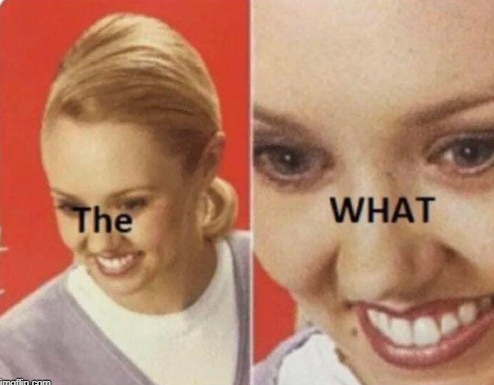 lady with semi serious face but bleak smile meme with caption "the what" image