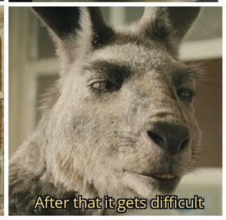 what happens after dawn?