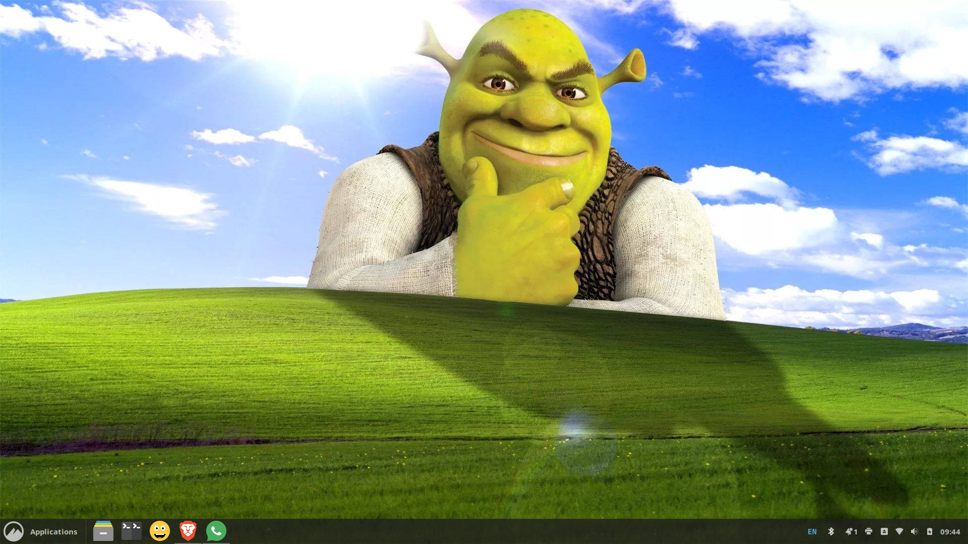 A Linux desktop screenshot featuring a Shrek meme wallpaper. Shrek is leaning on the iconic Windows XP 'Bliss' hill with a sly smile and a thinking pose, blending humorously into the scene. The desktop has a dark panel at the bottom with application icons and system indicators.