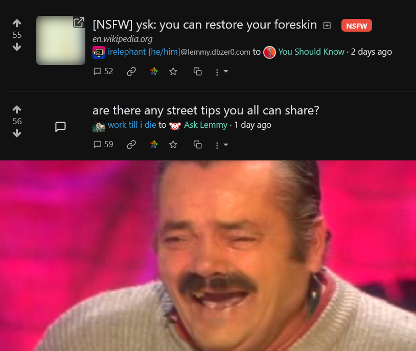 Lemmy posts screenshot