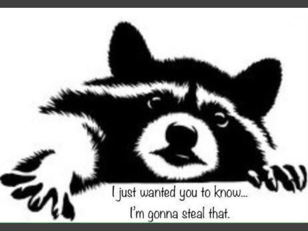 Graphic of a raccoon reaching, captioned "I just wanted you to know... I'm stealing that." 