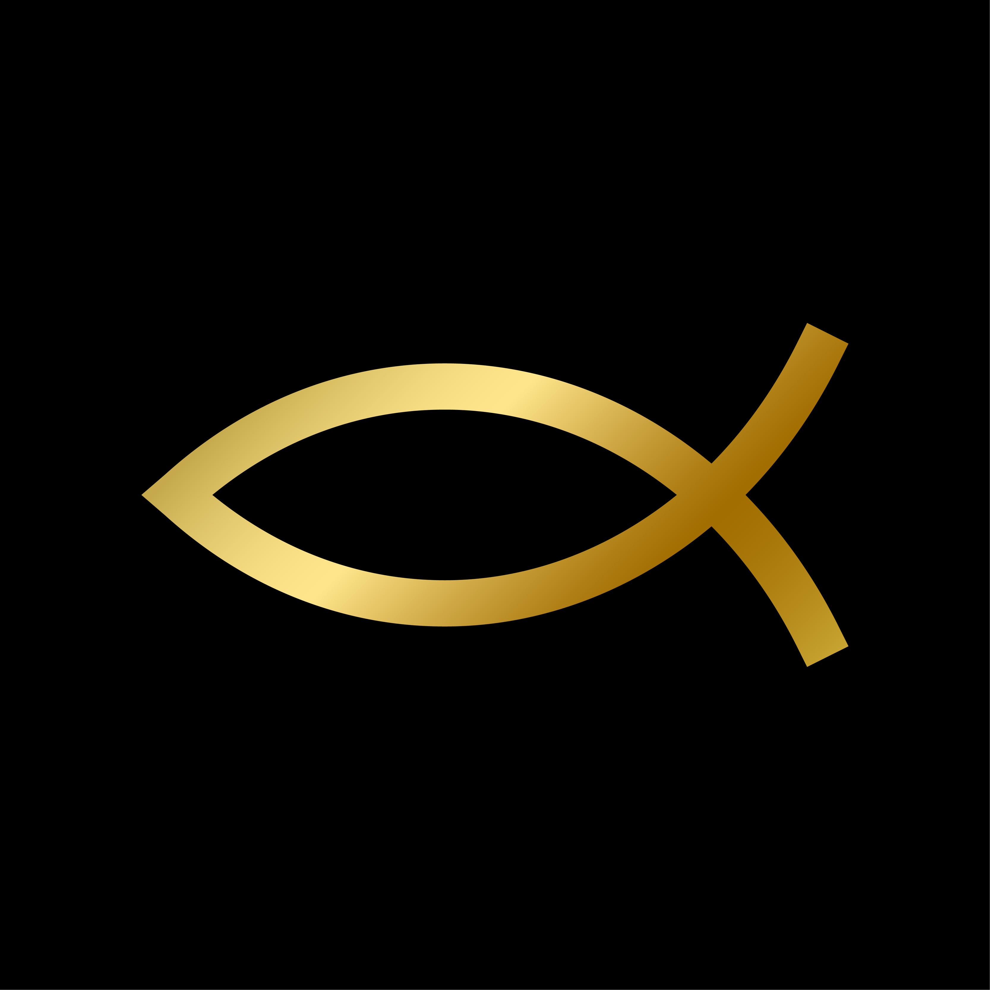 minimalist symbol of two intersecting arcs resembling the profile of a fish