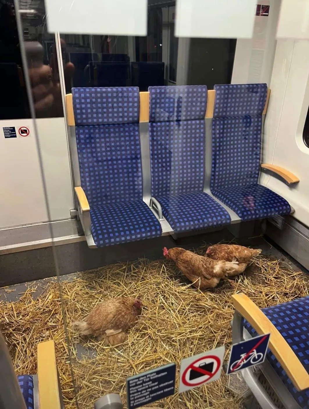 kannste-dir-nicht-ausmalen-v0-u349jvqrs2vf1