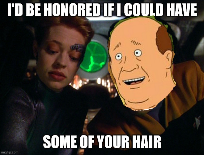 [The Constant Ensign Harry Kim, played by Bill Dauterive of King of the Hill, tries to ask Seven of Nine for her hair politely and non-creepily. Emphasis on the word try.]