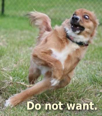 NO!!
