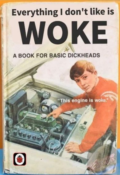 Everything I don't like is woke: a book for basic dickheads
