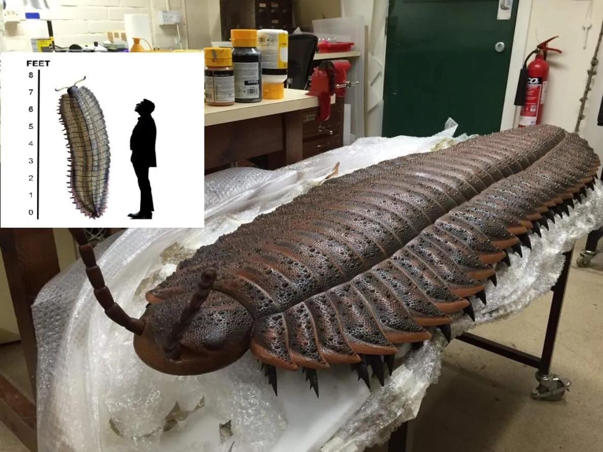 The largest centipede ever on earth? - iNEWS