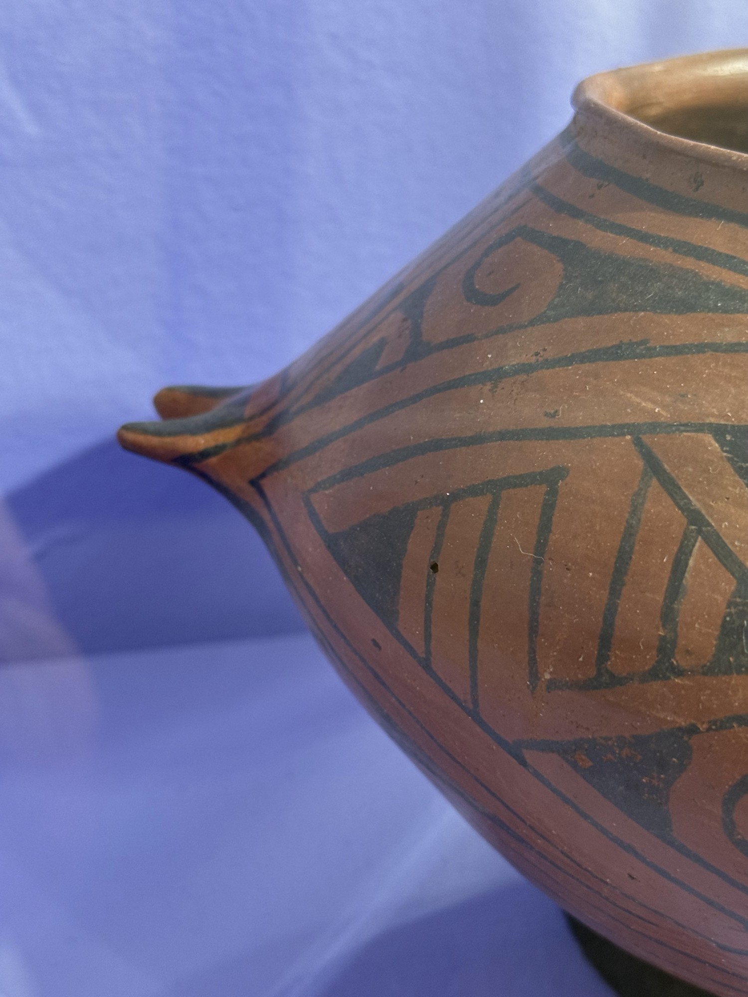 Close up of the two tail feathers representing the duck’s rear, which is very cute