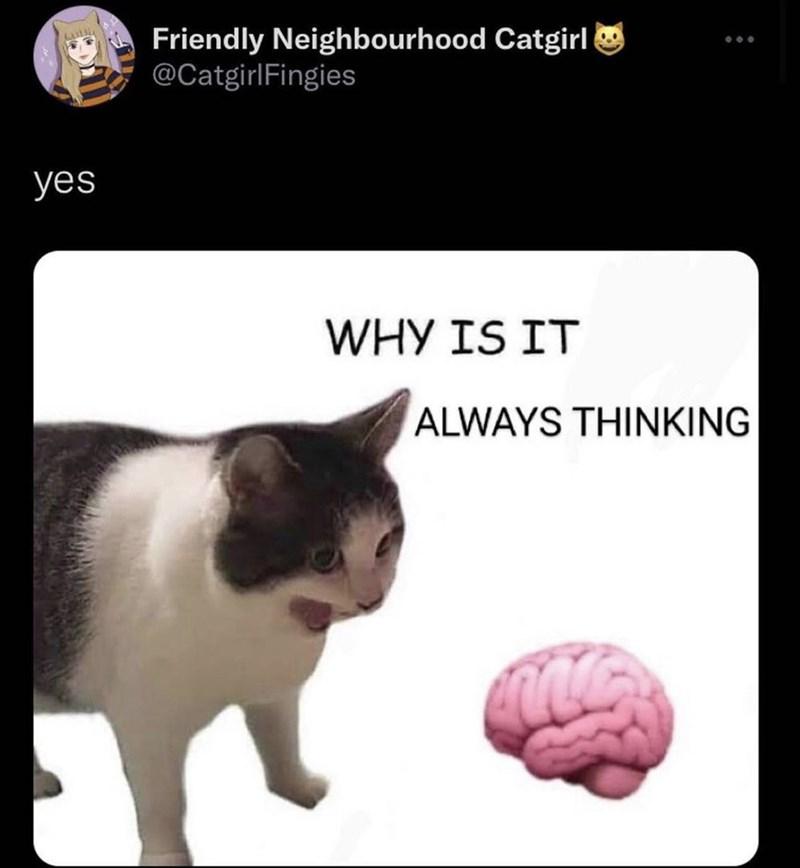 yes