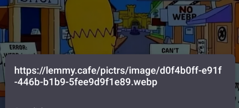 The image in this post is uploaded as a webp