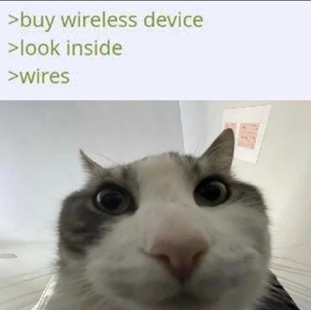 Buy wireless items, open it up, wires inside. Cat staring at OP as in a "What is this shit" kinda way