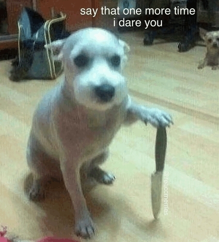 Say that one more time