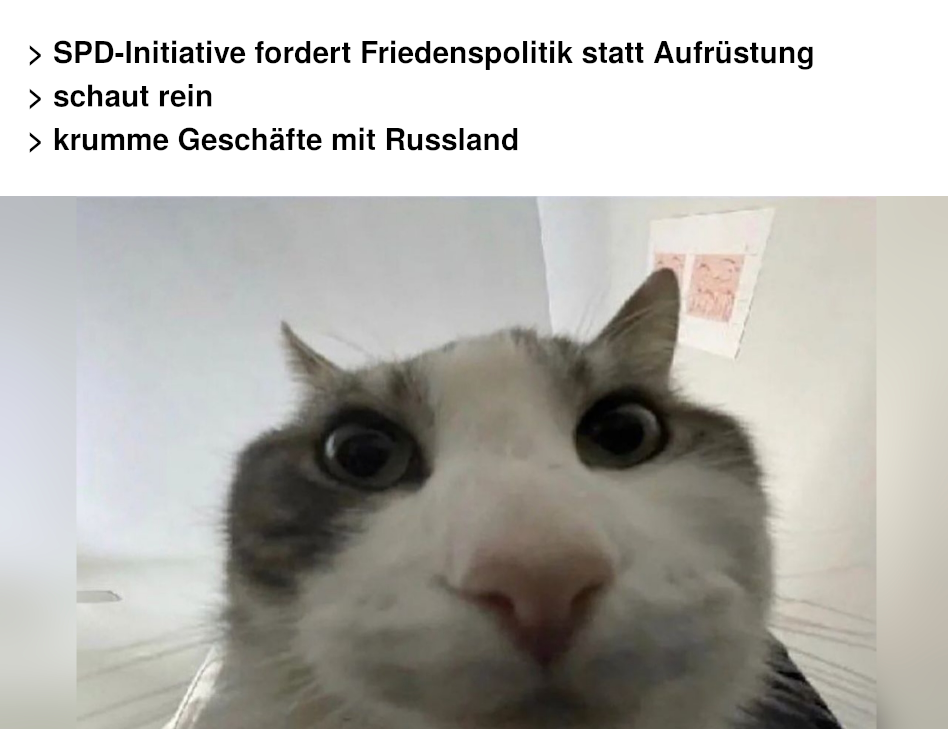 Katze schaut rein - Krumme Geschäfte mit Russland