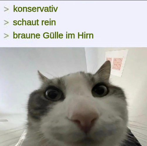 konservativ - Katze schaut rein - braune Gülle im Hirn