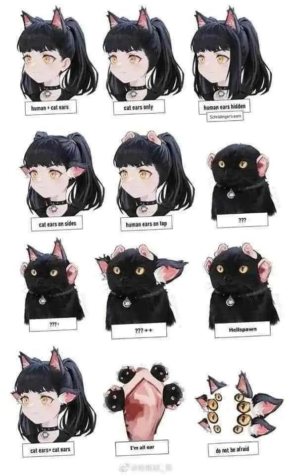 mmyshitpost@lemmy.world-9962699