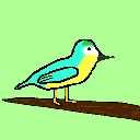 AlexTheBirb